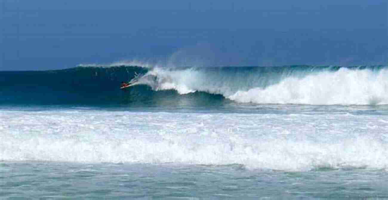 Surfing On The Big Island Hawaii The Big Island Trailblazer Where To Hike Snorkel Surf Bike Drive (Trailblazer Travel Books)