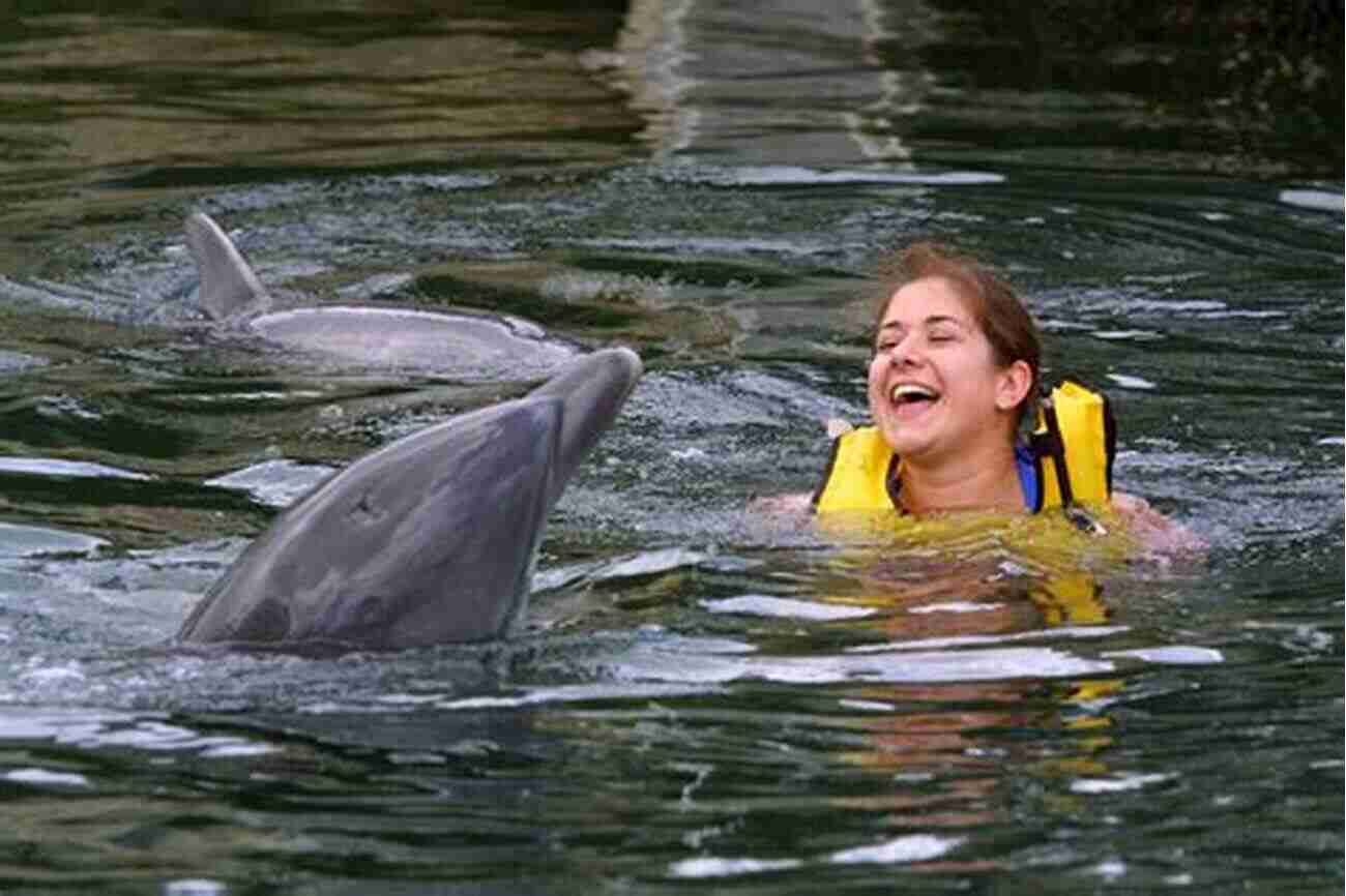 Swimming With Dolphins In The Florida Keys A Portrait Of The Florida Keys A Florida Travel Guide