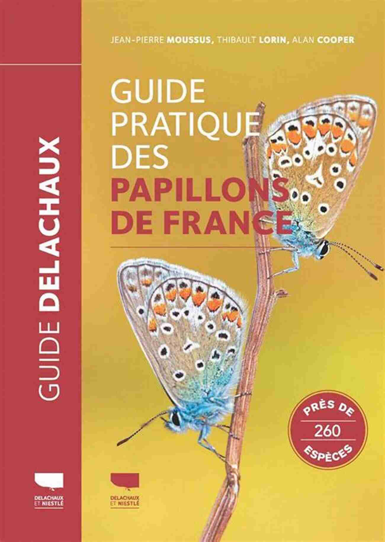 The Complete Guide To Papillons A Fascinating Journey Into The World Of Graceful Butterflies The Complete Guide To Papillons: Choosing Feeding Training Exercising And Loving Your New Papillon Dog