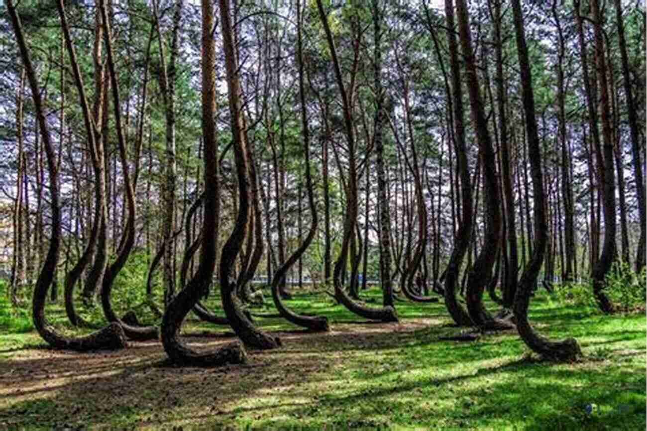 The Crooked Forest In Poland Oddball Michigan: A Guide To 450 Really Strange Places (Oddball Series)