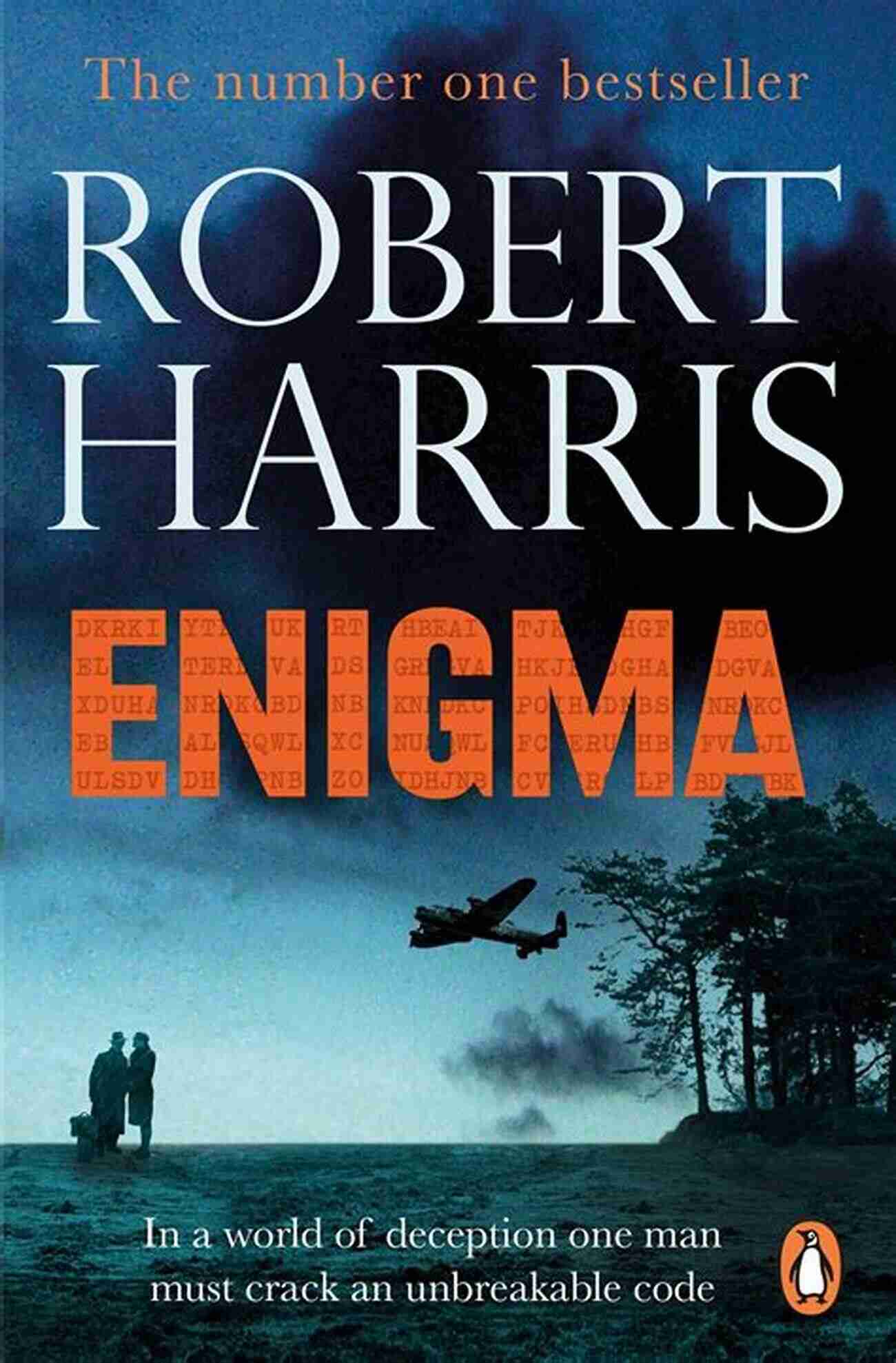 The Enigma Book Cover DANGEROUS ODDS (Romantic Mystery Boxset 1 3)