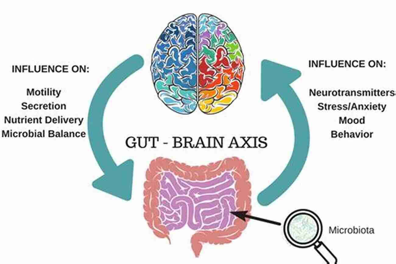 The Fascinating Connection Between Information And Energy Interaction Of Information And Energy As The Primary Cause For Origination Of The Creative Activity Of Self Consciousness Focus And The Macrocosmos In Whole (Iissiidiology Fundamentals 1)