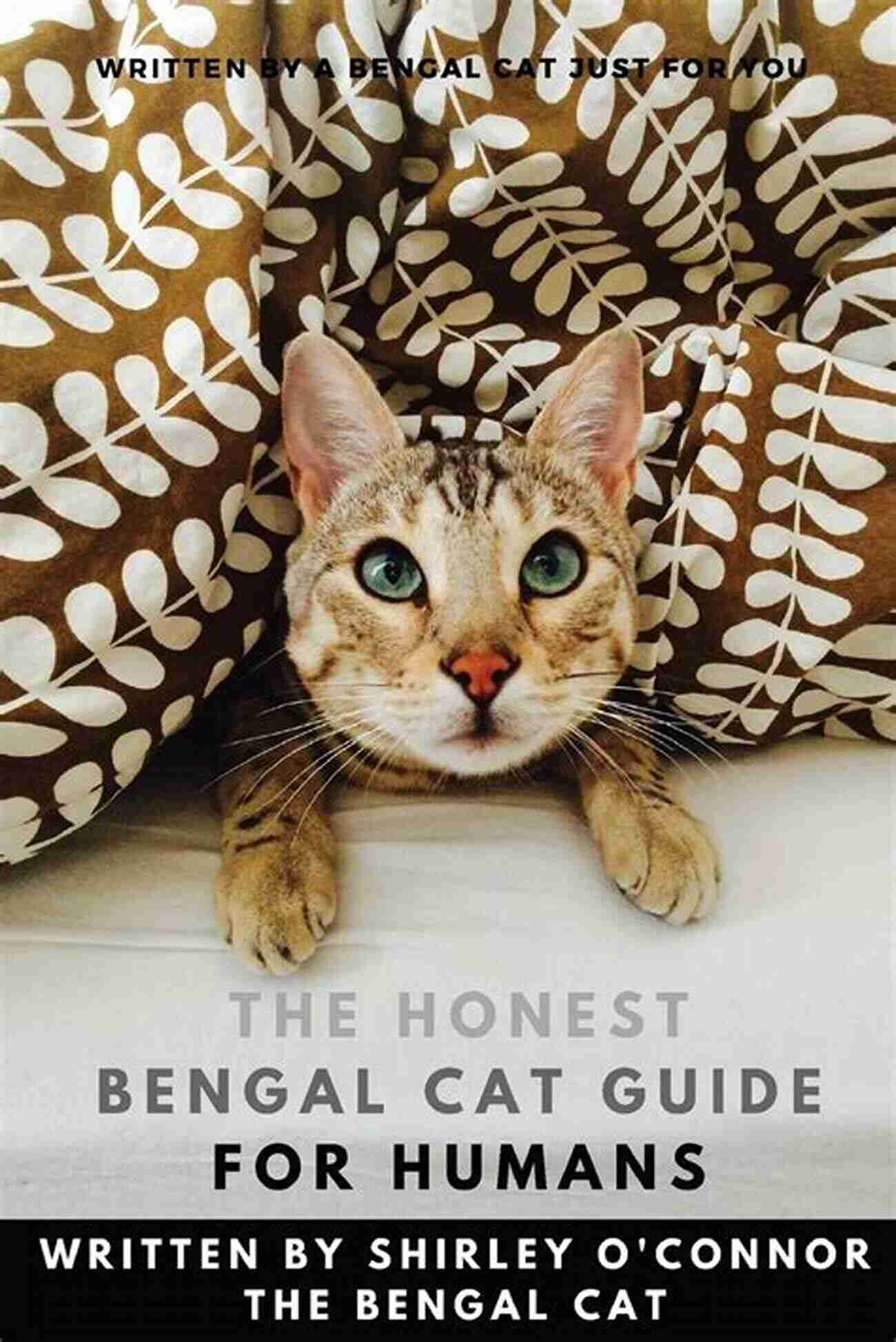 The Honest Bengal Cat Guide For Humans The Honest Bengal Cat Guide For Humans: Bengal Cat And Kitten Care: Bengal Cat And Kitten Guide Written By A Bengal Cat (The Honest Guide 1)