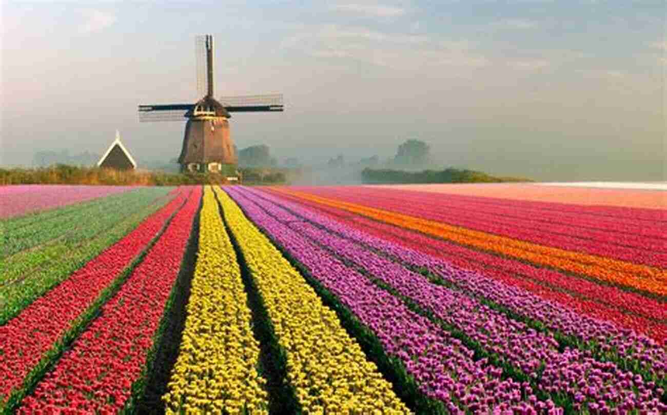 The Colorful Tulip Fields Of The Netherlands Netherlands Amsterdam Effortlessly Leading The Way (Europeans At Heart 4)