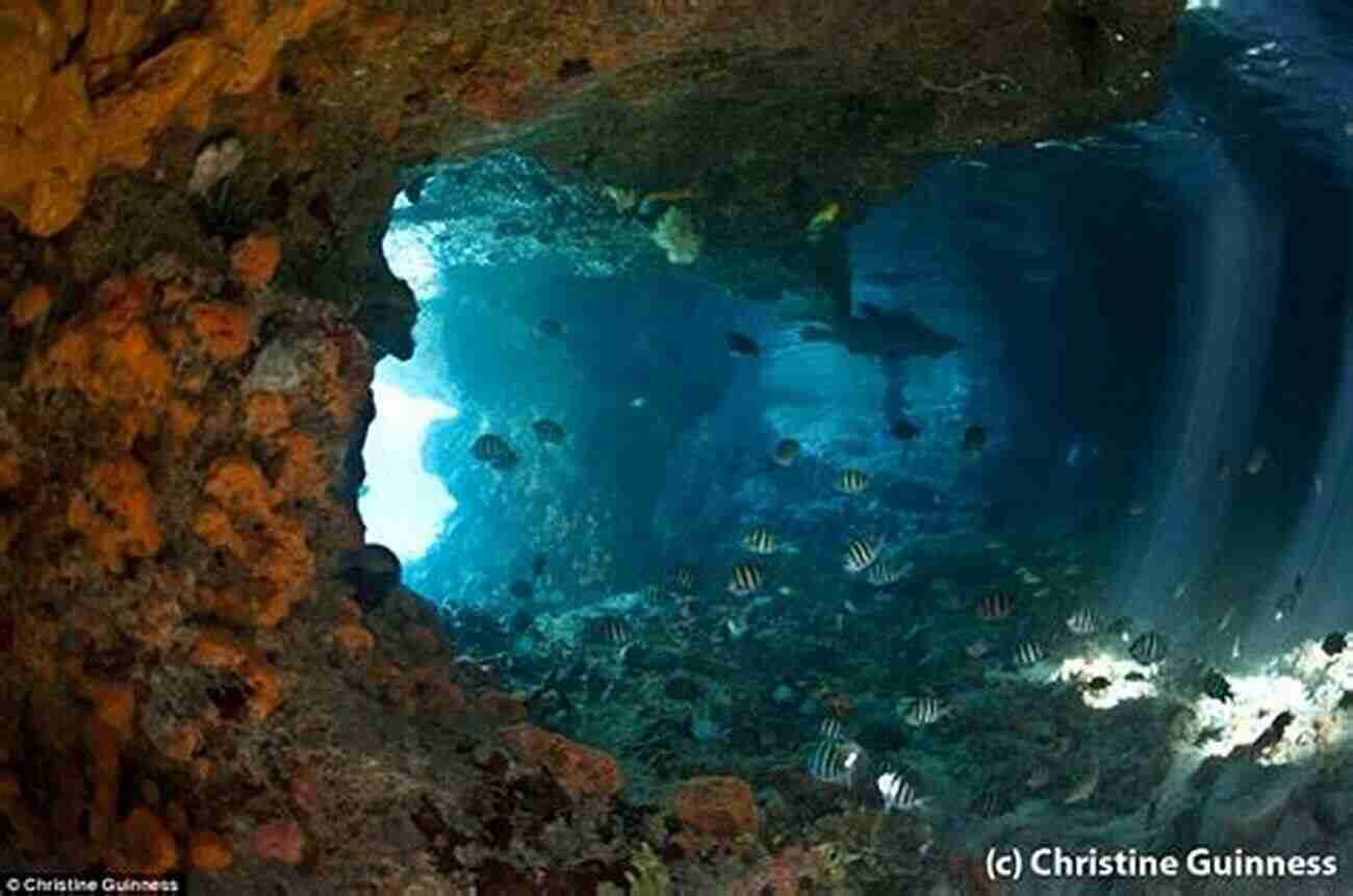 Thunderball Grotto A Captivating Underwater Cave System Filled With Marine Life Definitely The Bahamas And Play House