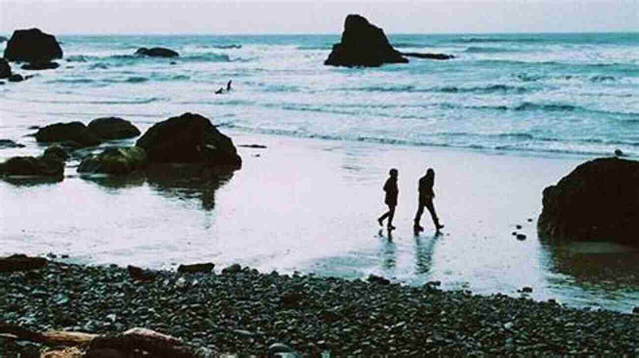 Twilight Saga Tour On La Push Beach Tour The Twilight Saga One The Olympic Peninsula