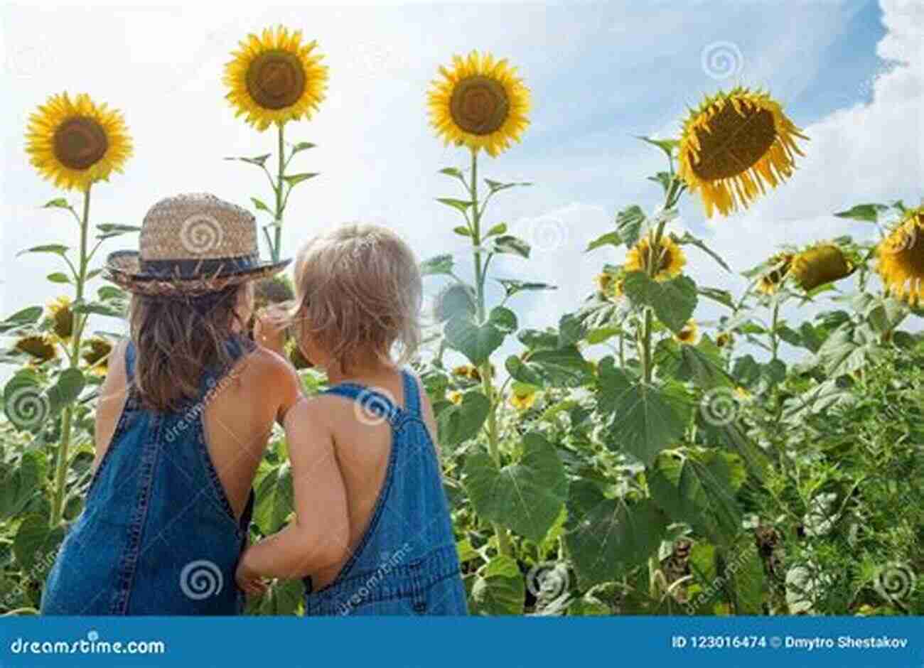 Two Friends Joyfully Exploring A Sunflower Field On A Warm Summer Day Nobody S Cuter Than You: A Memoir About The Beauty Of Friendship