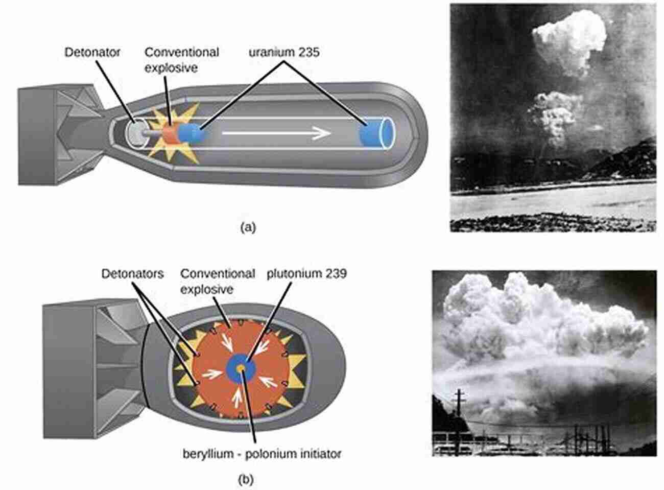 Understanding The Chemical Reactions Behind Explosives The Chemistry Of Explosives: Rsc (Rsc Paperbacks)