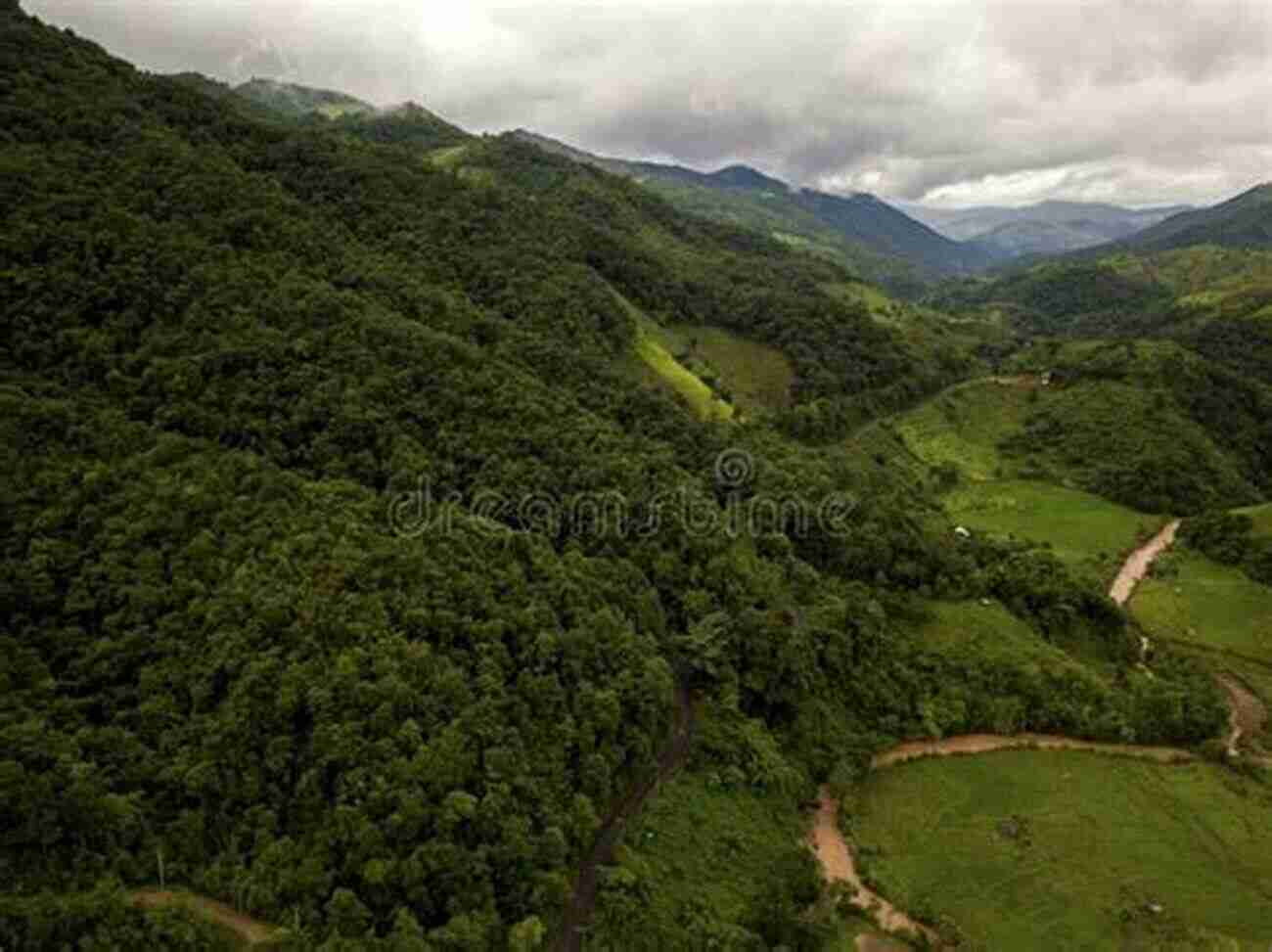 Waihee Ridge Trail: A Lush Rainforest With Scenic Mountain Views Top Trails: Maui: Must Do Hikes For Everyone