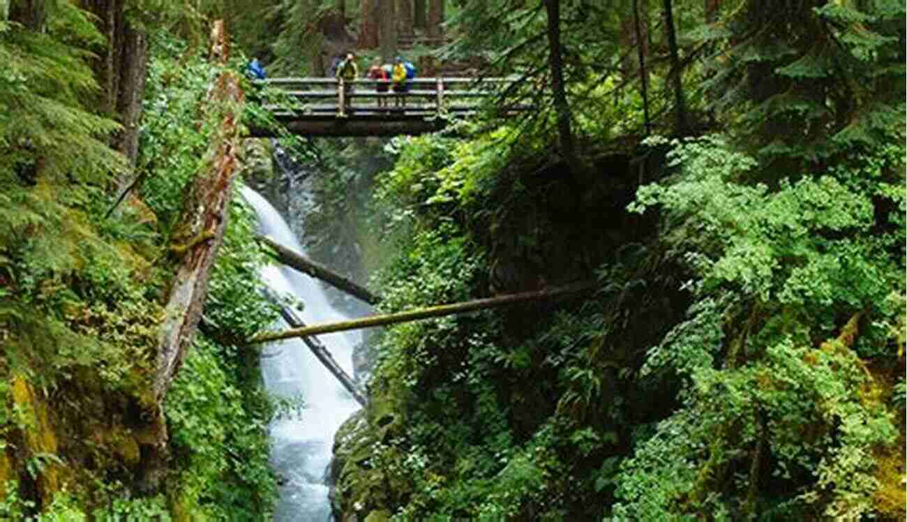 Yoho National Park Road Trip Yellowstone: Adventures Just Outside America S Favorite Park (National Park Trips Media)