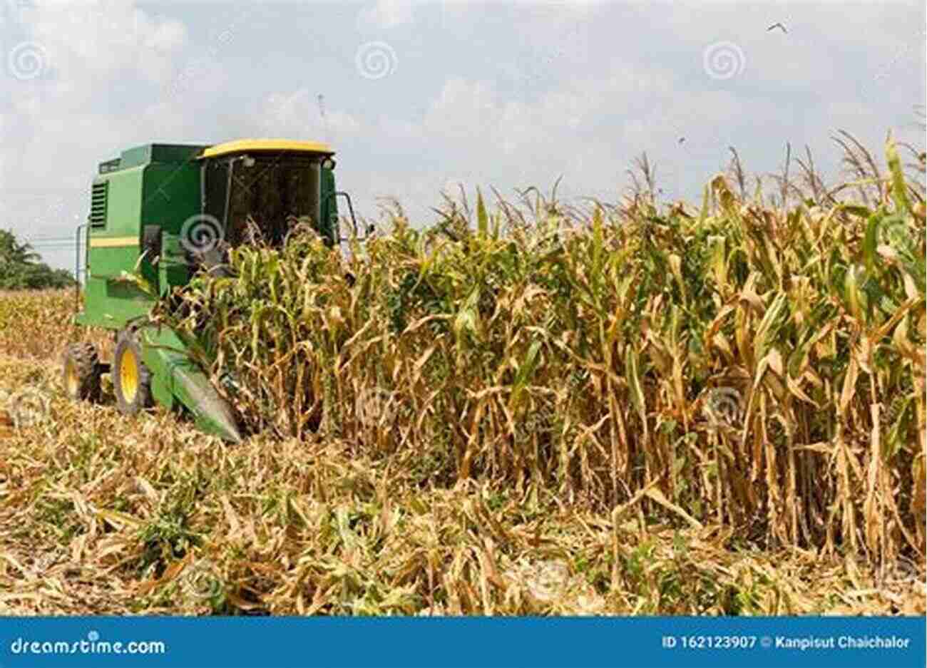 A Colorful Combine Harvester Harvesting Corn In A Field Machinery: Farm Machinery In Color (big Machine 3)