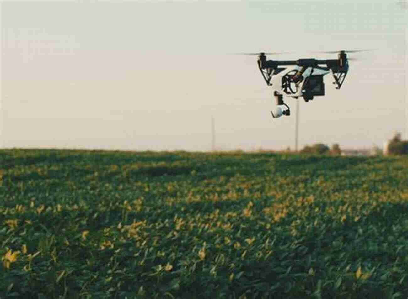 Drones Monitoring Crop Health The Of The Farm Volume III