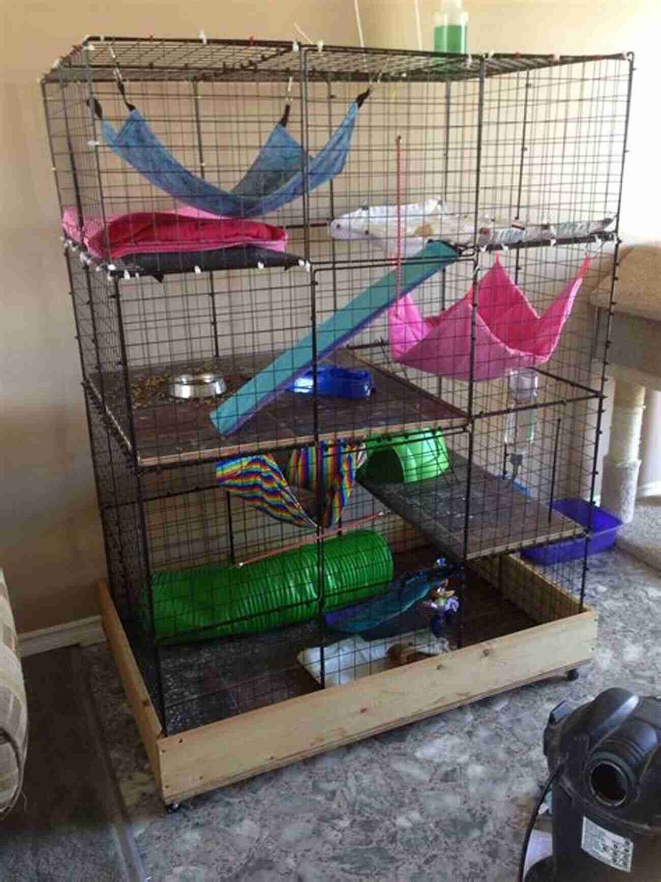 Ferret Cage With Toys Ferret Care For Beginners Alina Daria