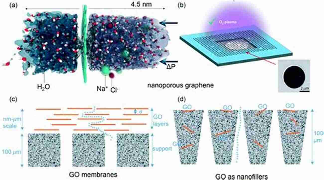 Graphene Based Filters For Oil Water Separation Advances In Oil Water Separation: A Complete Guide For Physical Chemical And Biochemical Processes