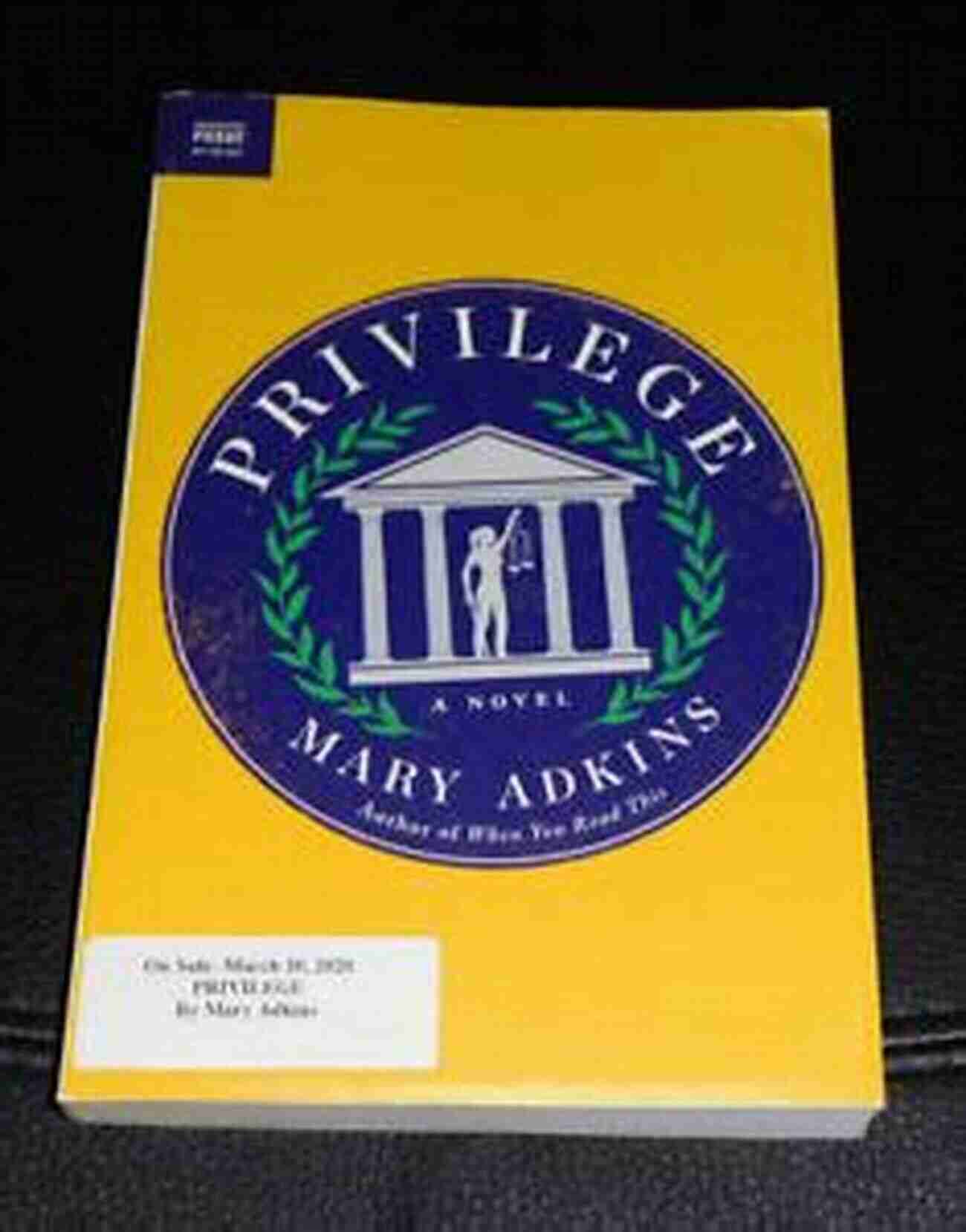 Privilege Novel Mary Adkins Cover Privilege: A Novel Mary Adkins