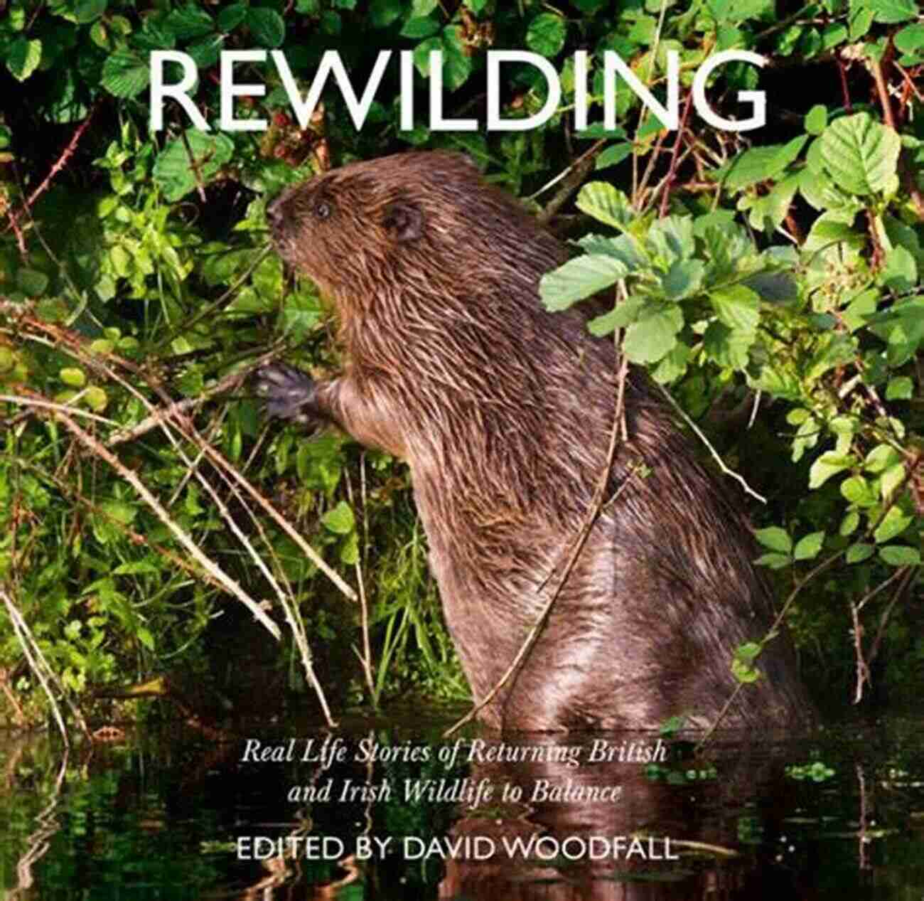 Real Life Stories Of Returning British And Irish Wildlife Rewilding: Real Life Stories Of Returning British And Irish Wildlife To Balance