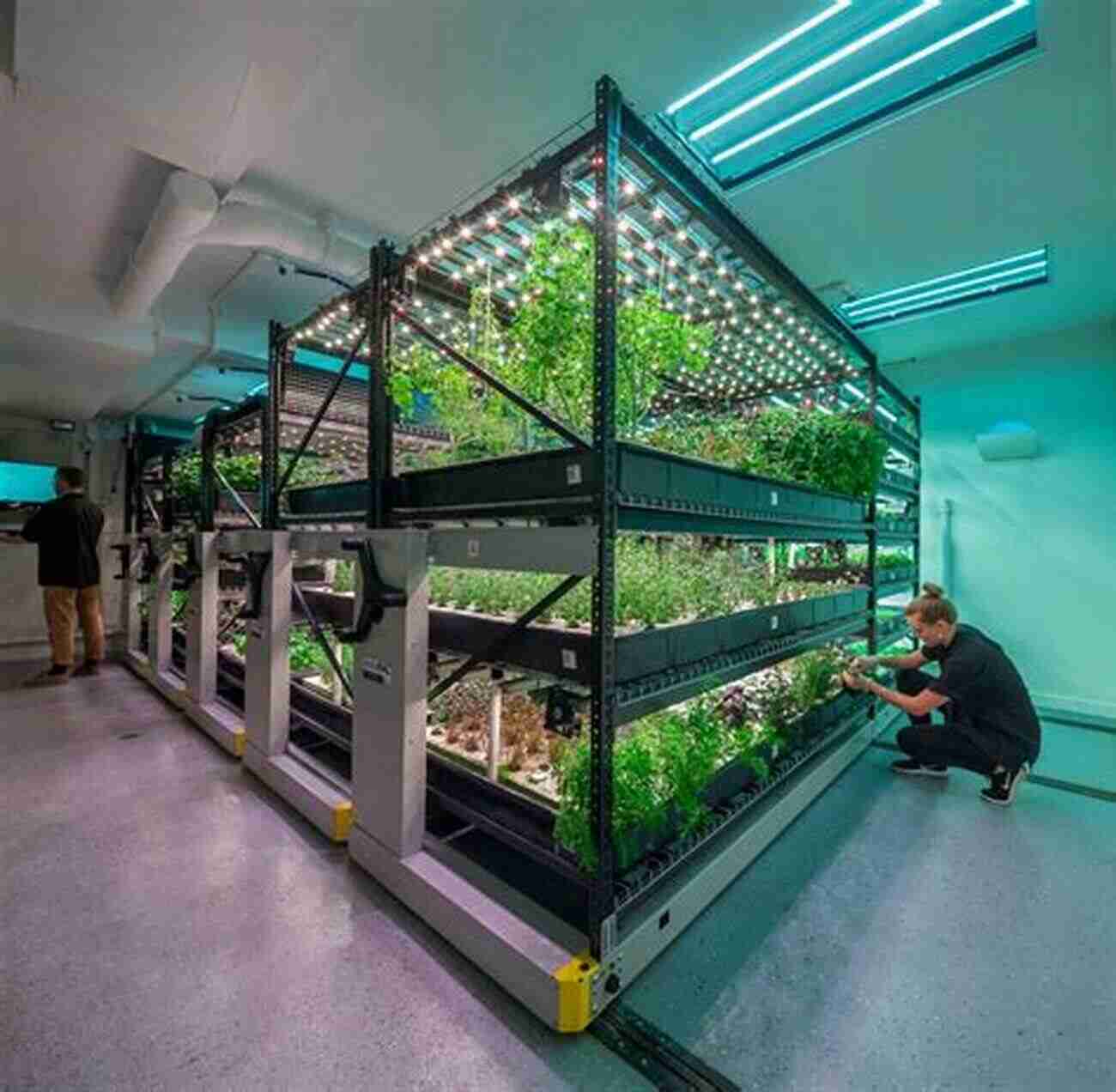 Vertical Farming For Urban Areas The Of The Farm Volume III