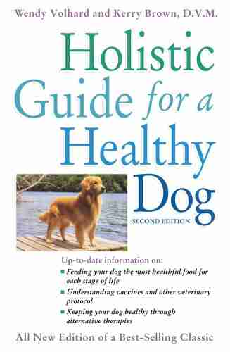 Holistic Guide For A Healthy Dog