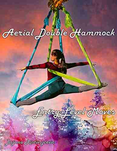 Aerial Double Hammock Entry Level Moves