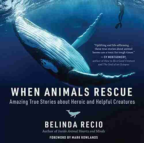 When Animals Rescue: Amazing True Stories About Heroic And Helpful Creatures