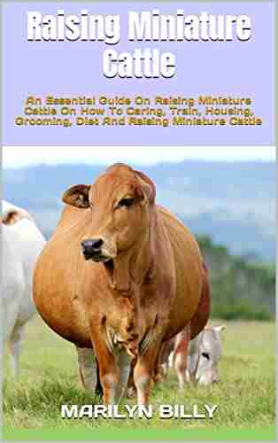 Raising Miniature Cattle : An Essential Guide On Raising Miniature Cattle On How To Caring Train Housing Grooming Diet And Raising Miniature Cattle