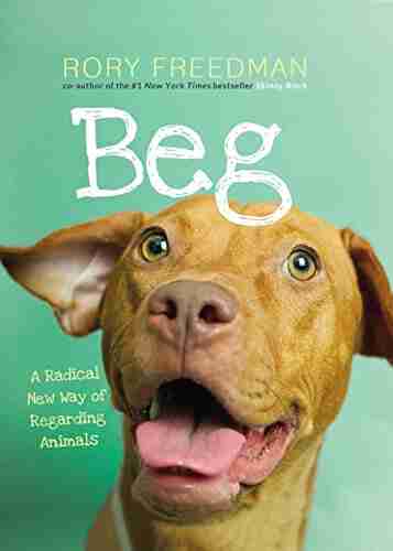 Beg: A Radical New Way Of Regarding Animals