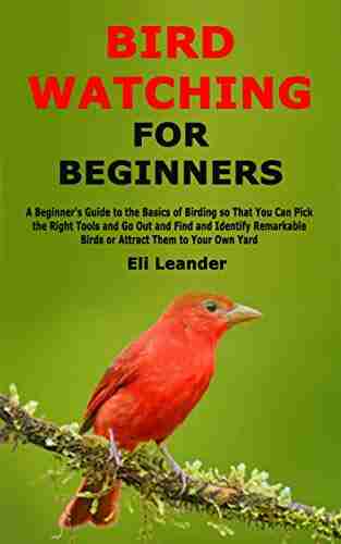 Bird Watching for Beginners: A Beginner s Guide to the Basics of Birding so That You Can Pick the Right Tools and Go Out and Find and Identify Remarkable Birds or Attract Them to Your Own Yard