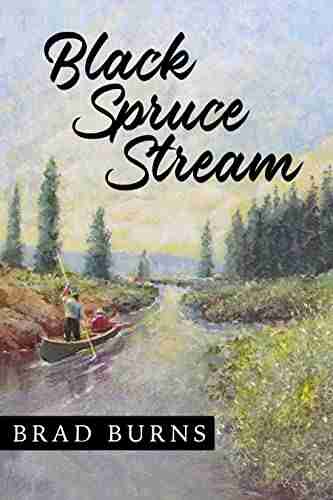 Black Spruce Stream Brad Burns