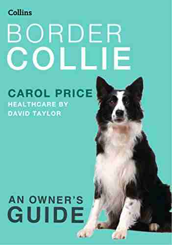 Border Collie (Collins Dog Owner s Guide)