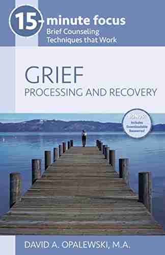 15 Minute Focus GRIEF: Processing and Recovery: Brief Counseling Techniques that Work