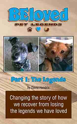 BEloved Pet Legends Part 3: The Plan: Changing The Story Of How We Recover From Losing The Legends We Have Loved