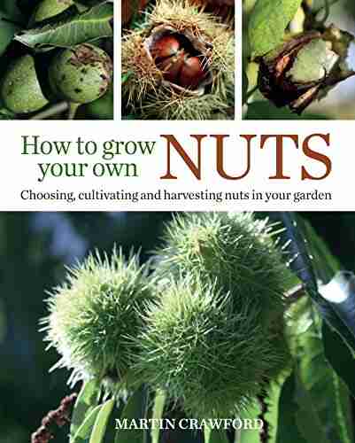 How to Grow Your Own Nuts: Choosing cultivating and harvesting nuts in your garden