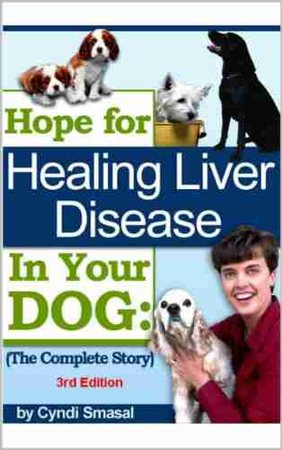 Hope For Healing Liver Disease in Your Dog