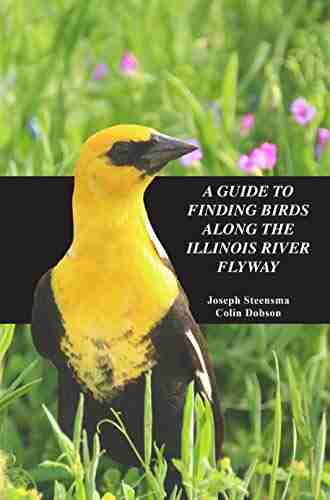 A Guide to Finding Birds Along the Illinois River Flyway