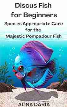 Discus Fish for Beginners Species Appropriate Care for the Majestic Pompadour Fish