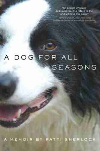 A Dog for All Seasons: A Memoir