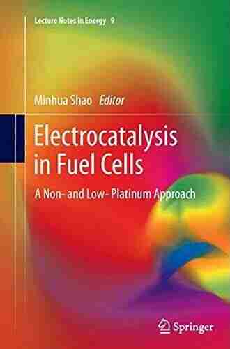 Electrocatalysis In Fuel Cells: A Non And Low Platinum Approach (Lecture Notes In Energy 9)