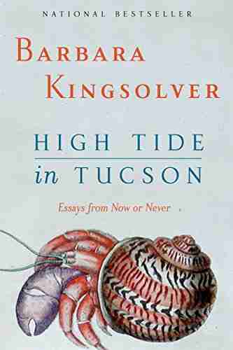 High Tide In Tucson: Essays From Now Or Never