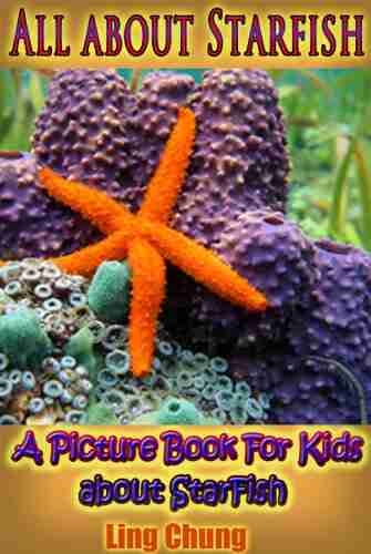 Children s About Starfish: A Kids Picture About Starfish with Photos and Fun Facts