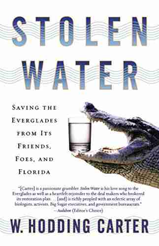 Stolen Water: Saving the Everglades from Its Friends Foes and Florida