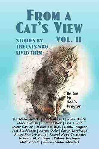 From A Cat s View Vol II: Stories Told By The Cats Who Lived Them