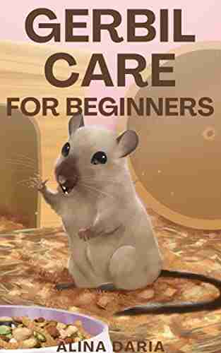 Gerbil Care for Beginners Alina Daria