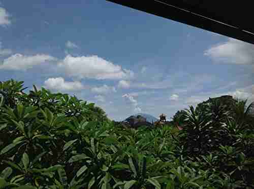 Ginger Tea Honey: a good time in Canggu Bali while Mt Agung rumbles in the background