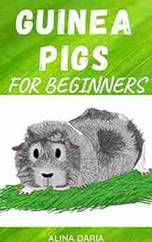 Guinea Pigs for Beginners : Species Appropriate Care and Husbandry of the Little Super Poopers (Guidebook on species appropriate keeping and care of guinea pigs 1)