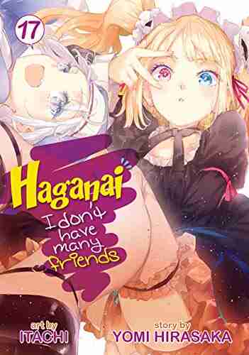 Haganai: I Don t Have Many Friends Vol 17