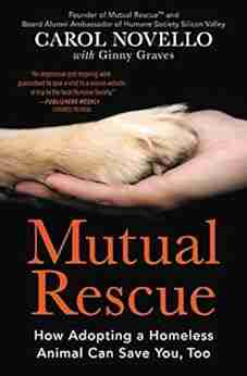 Mutual Rescue: How Adopting A Homeless Animal Can Save You Too