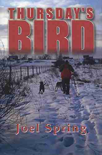 Thursday s Bird: Hunting Wild Pheasants in a Vanishing Upland