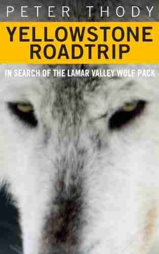 Yellowstone Roadtrip: In search of the Lamar Valley wolf pack