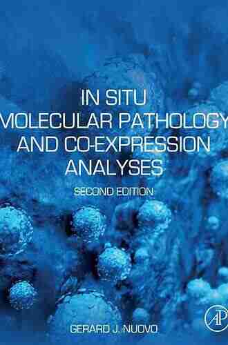 In Situ Molecular Pathology And Co Expression Analyses