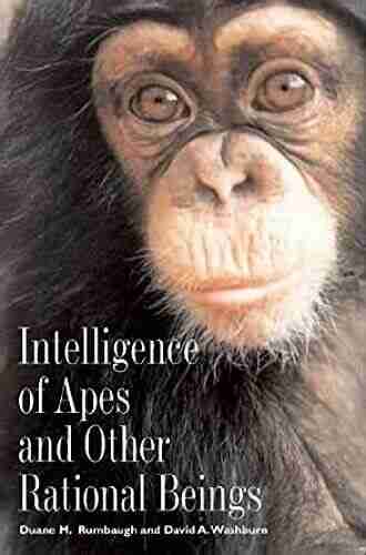 Intelligence of Apes and Other Rational Beings (Current Perspectives in Psychology)